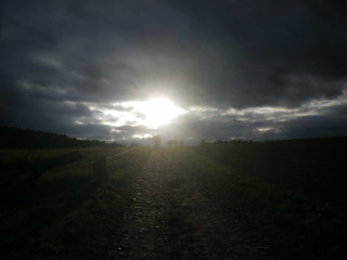 Weg